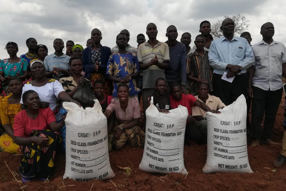 Circle for Integrated Community Development (CICOD) promotes seed farming in Kasungu